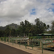 Picture 033